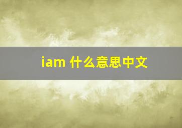 iam 什么意思中文